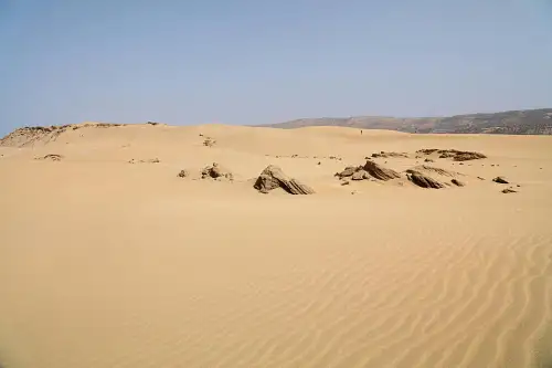 Buggy Ride Adventure with Moroccan Tea Tasting | From Agadir