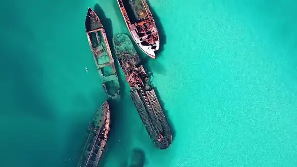 The best Moreton Island Day Trips