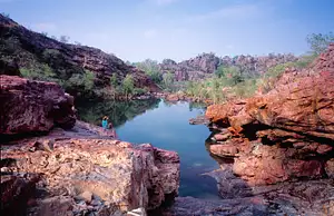 Kakadu National Park tours from Darin 5 days
