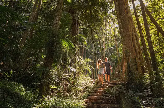 Wildlife Walks and Scenic Hikes