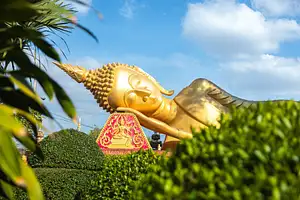 Bangkok Nightlife and Street Markets Southeast Asia Adventure Tour