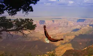 Grand Canyon West Rim with Hoover Dam Photo Stop | Guided tour
