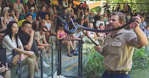 Great Australian Wildlife Experience package