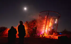 Astra Lumina @ Currumbin wildlife Sanctuary