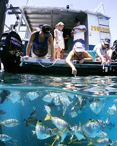 Great Keppel Island Coral Lunch Tour