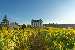 Champagne day trip from Paris with visit to wineries and Reims Cathedral